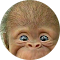 Андрей Чертоусов