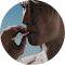 Иван Орлан