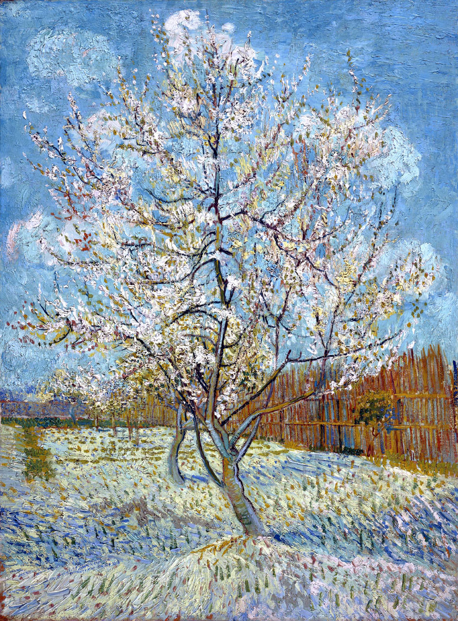 Продажа обоев Van Gogh