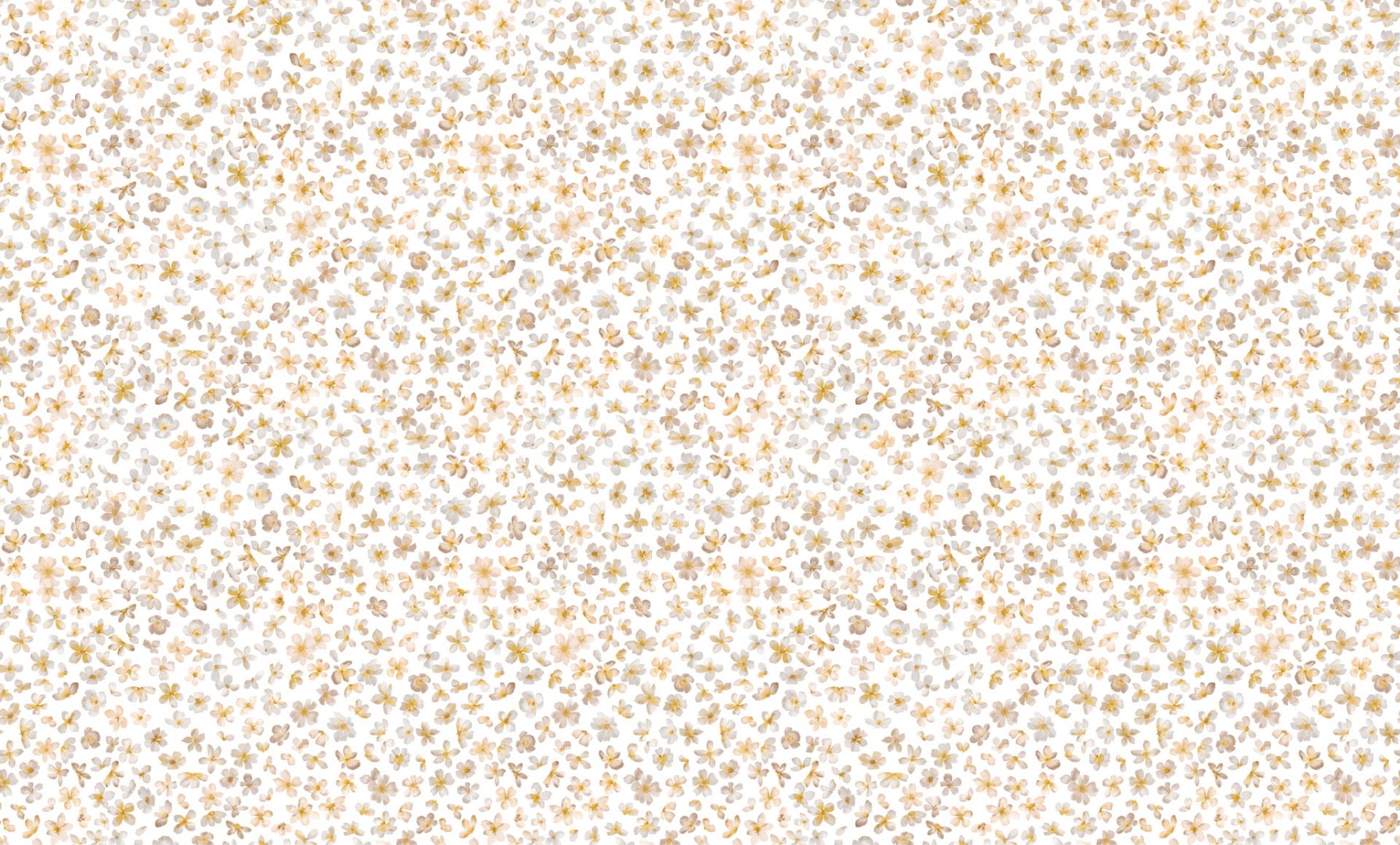 Обои Bernardo Bartalucci арт 84240-3 фото 1