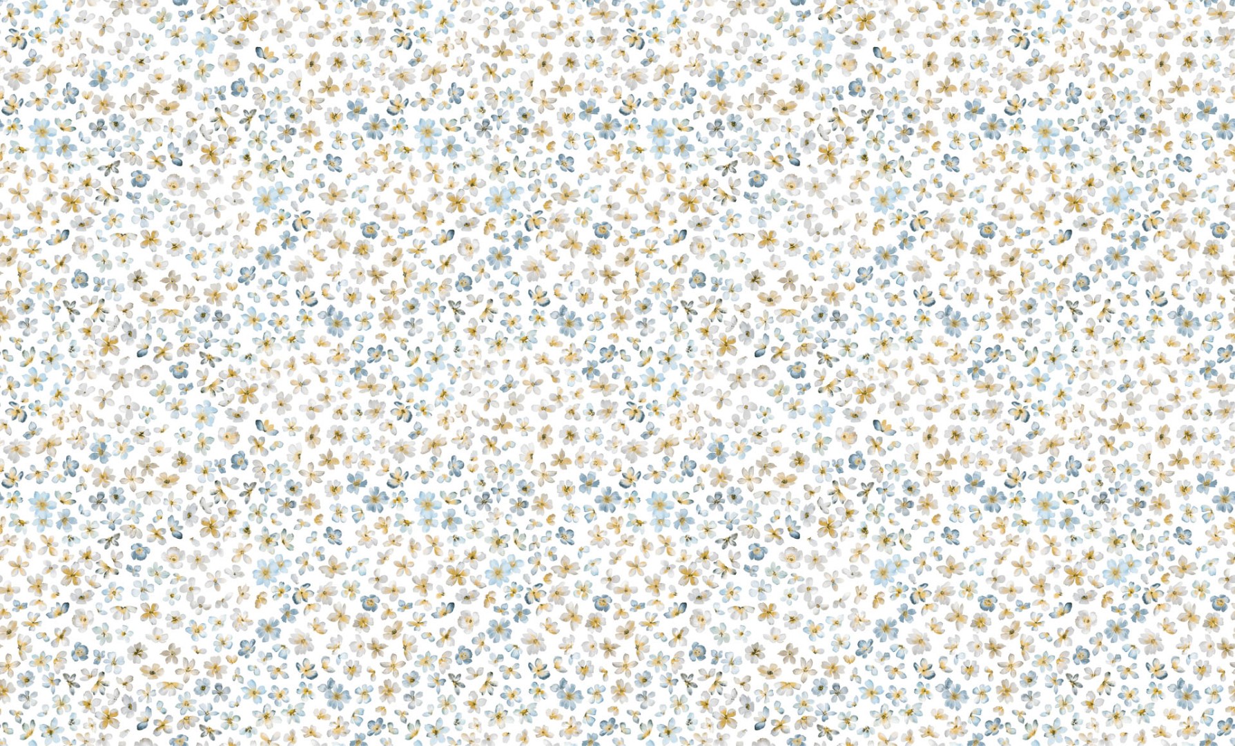 Обои Bernardo Bartalucci арт 84240-5 фото 1