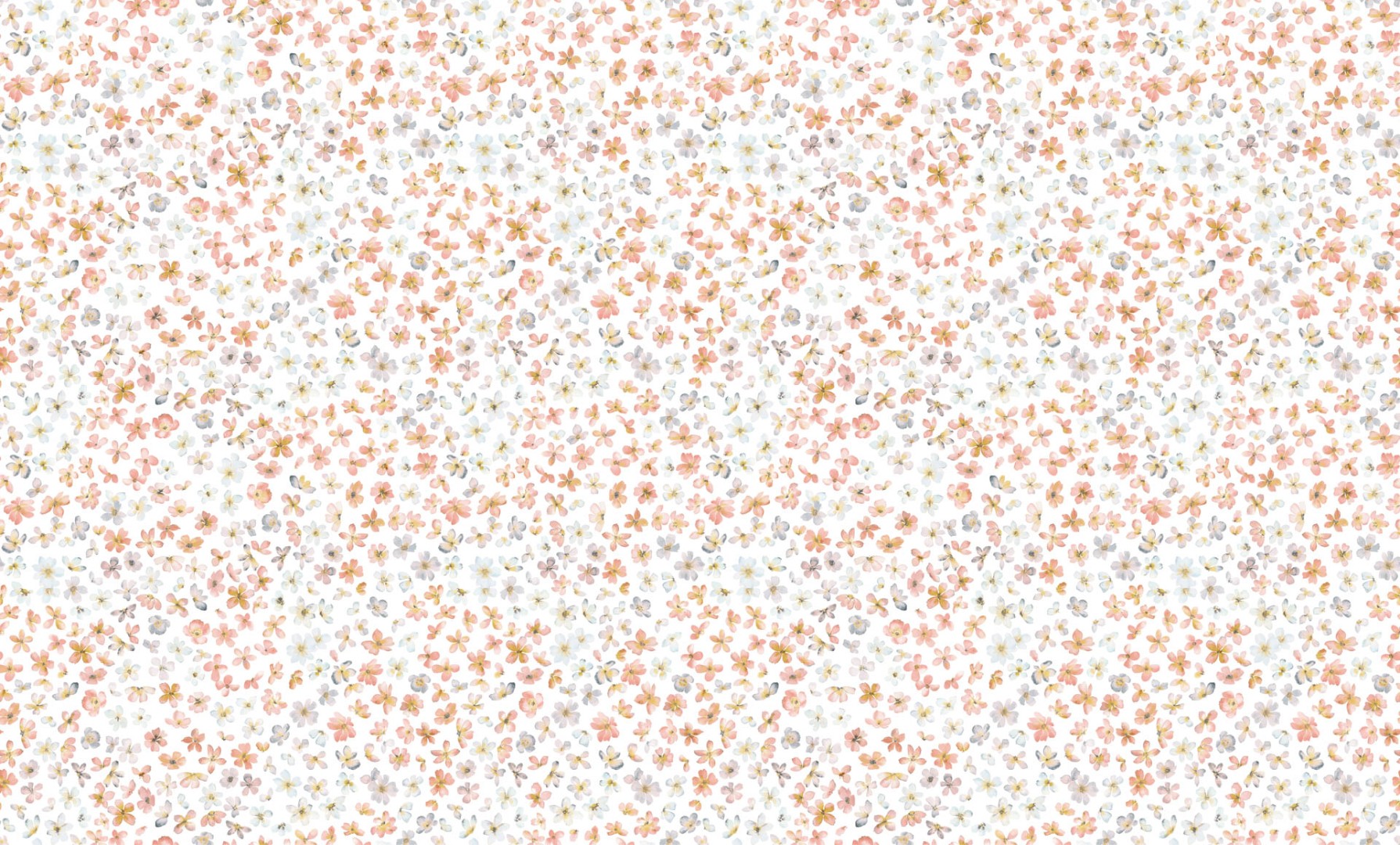 Обои Bernardo Bartalucci арт 84240-6 фото 1