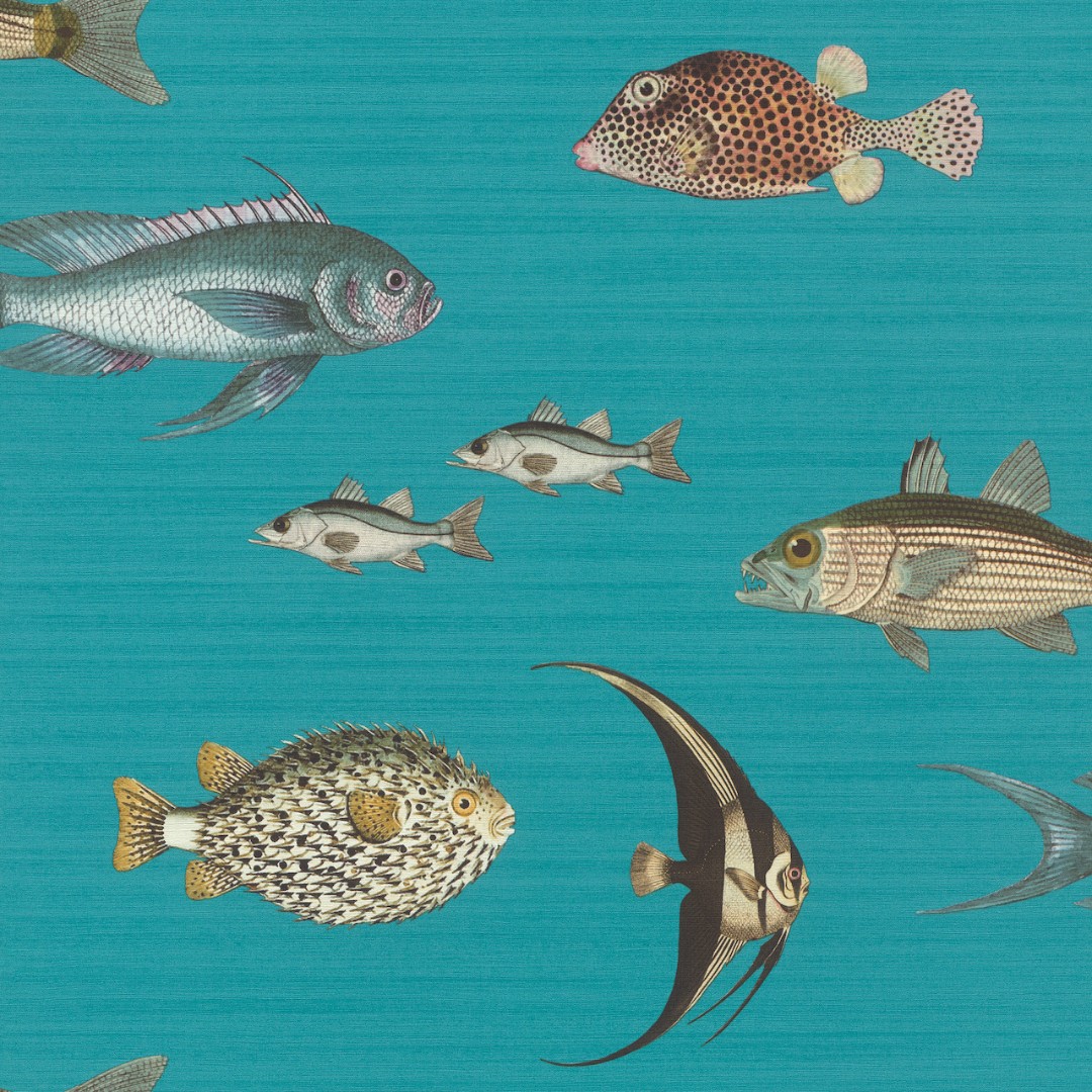 Обои Onszelf арт 553536 фото 1