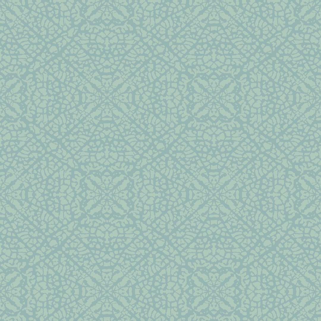 Обои Aura арт NL3707 фото 1