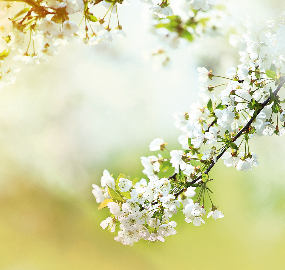 Панно Loymina арт DS 015 фото 1