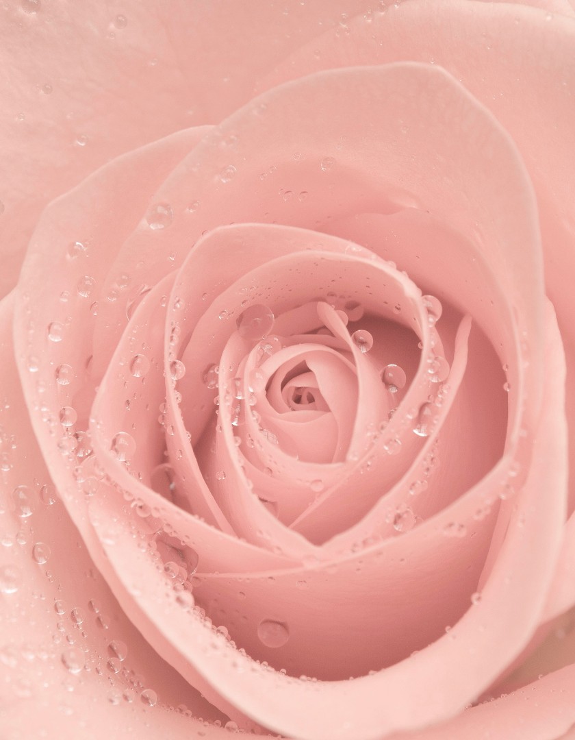 Фрески Ortograf арт 30027 фото 1