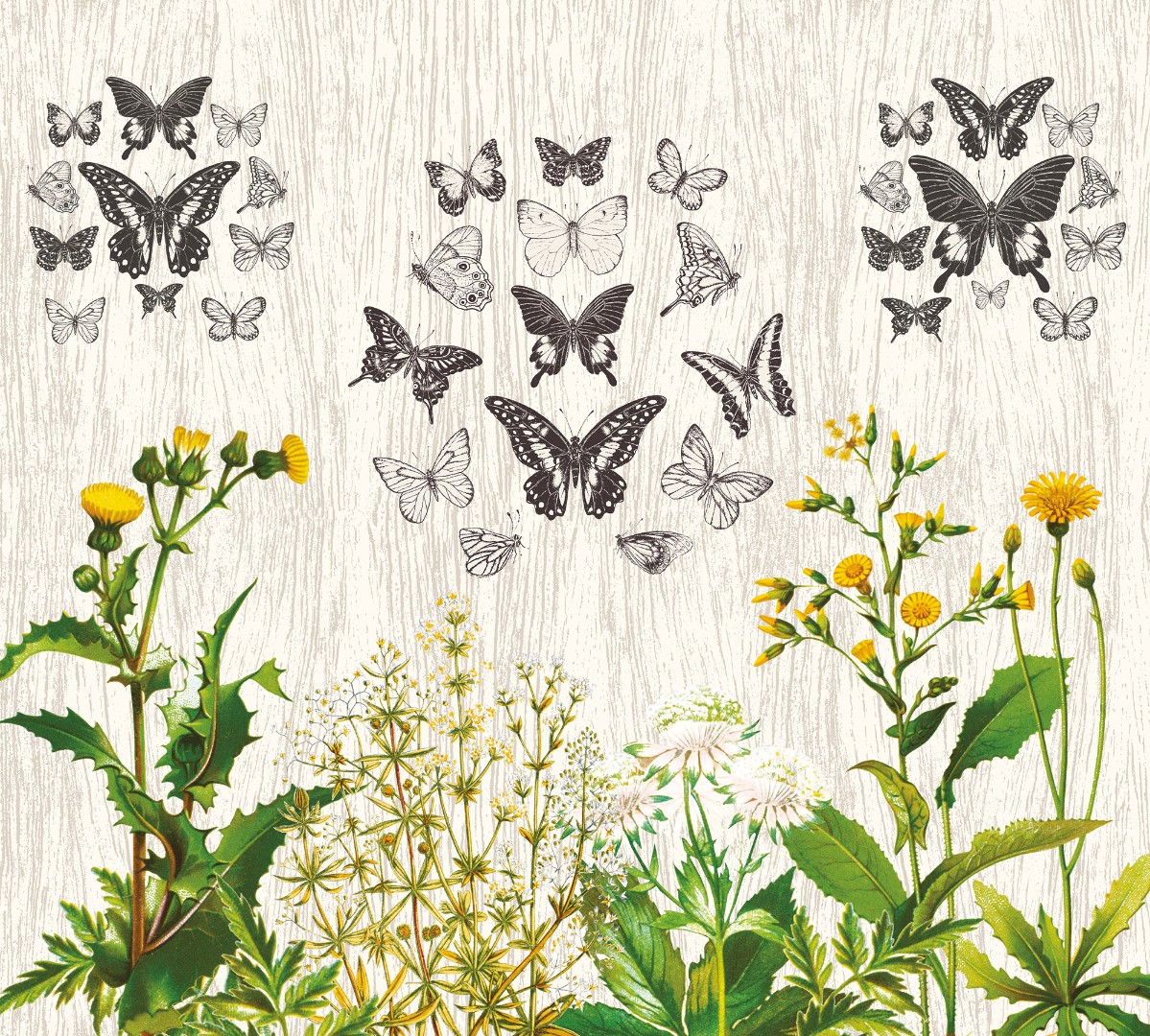 Фрески Ortograf арт 30234 фото 1