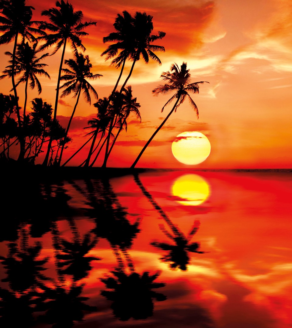 Фрески Ortograf арт 30631 фото 1