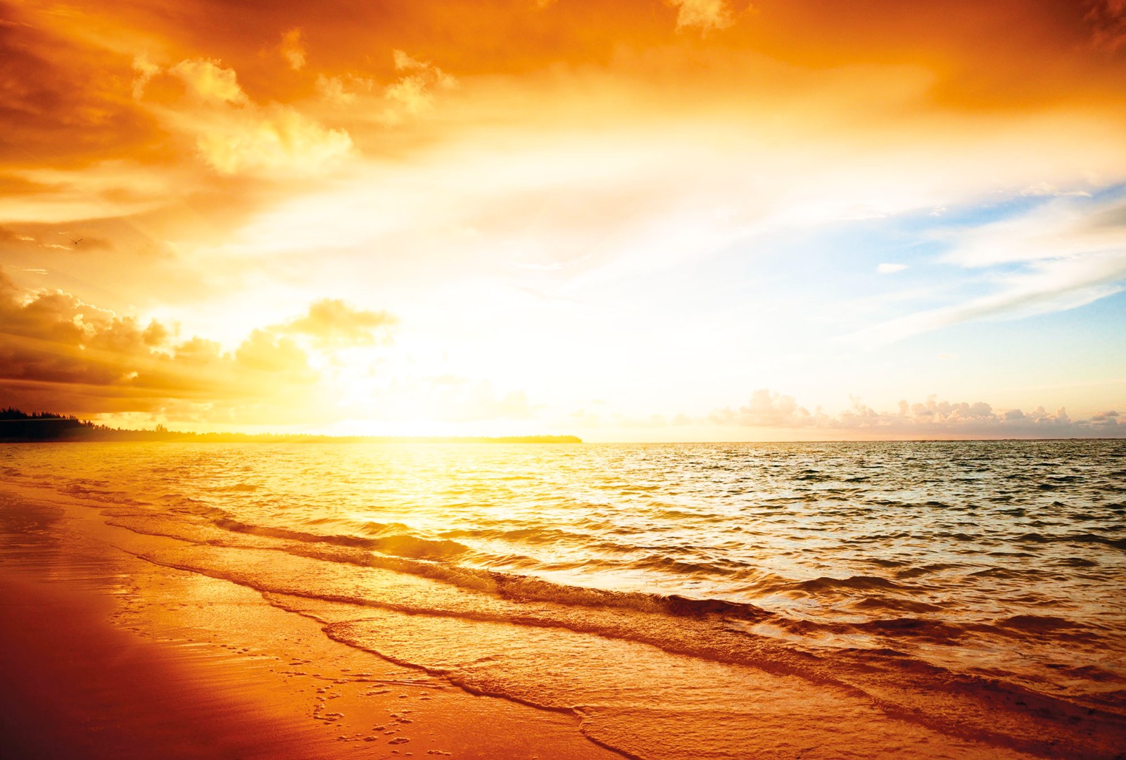 Фрески Ortograf арт 30634 фото 1