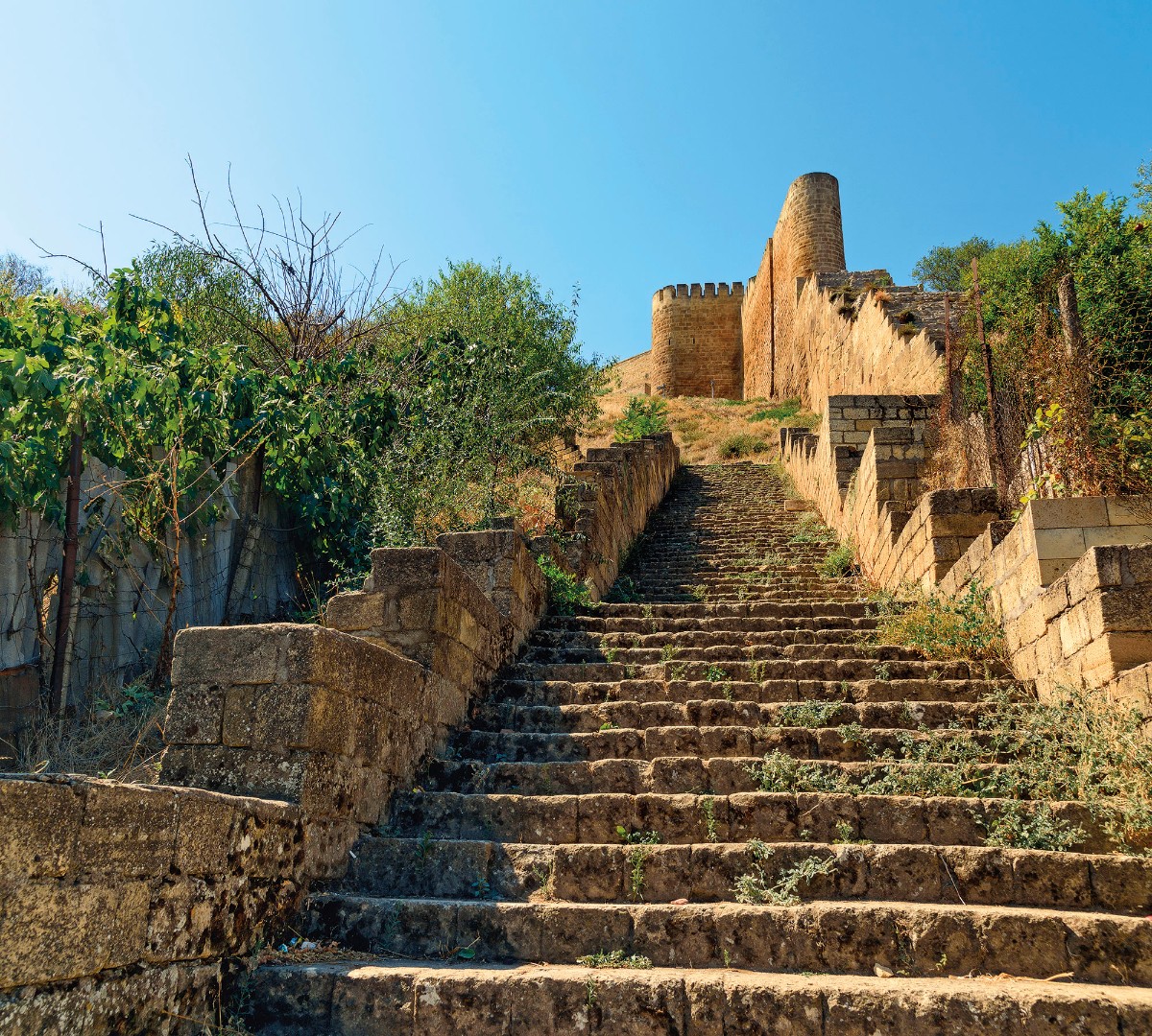 Фрески Ortograf арт 30930 фото 1