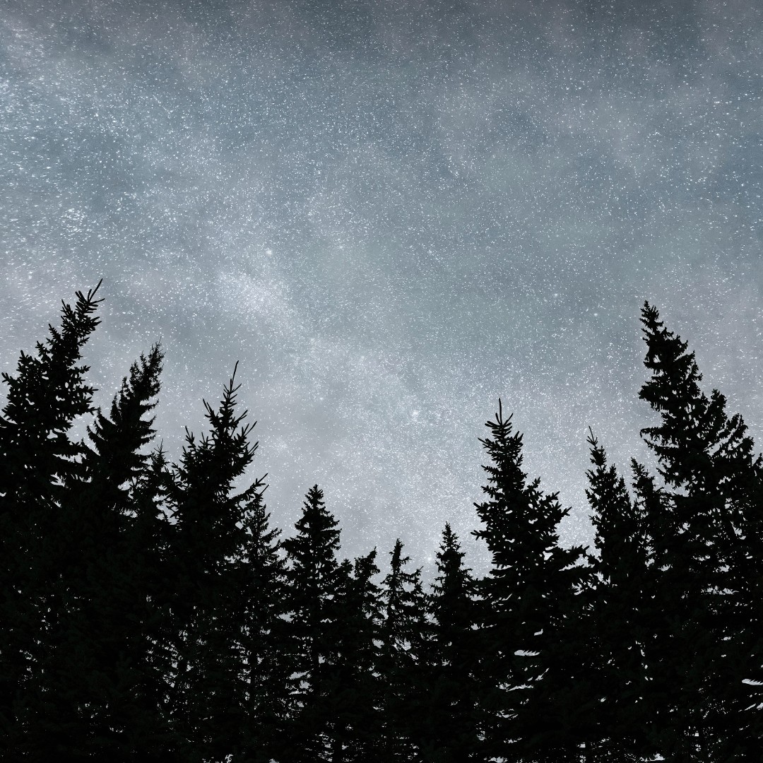 Фрески Ortograf арт 33591 фото 1