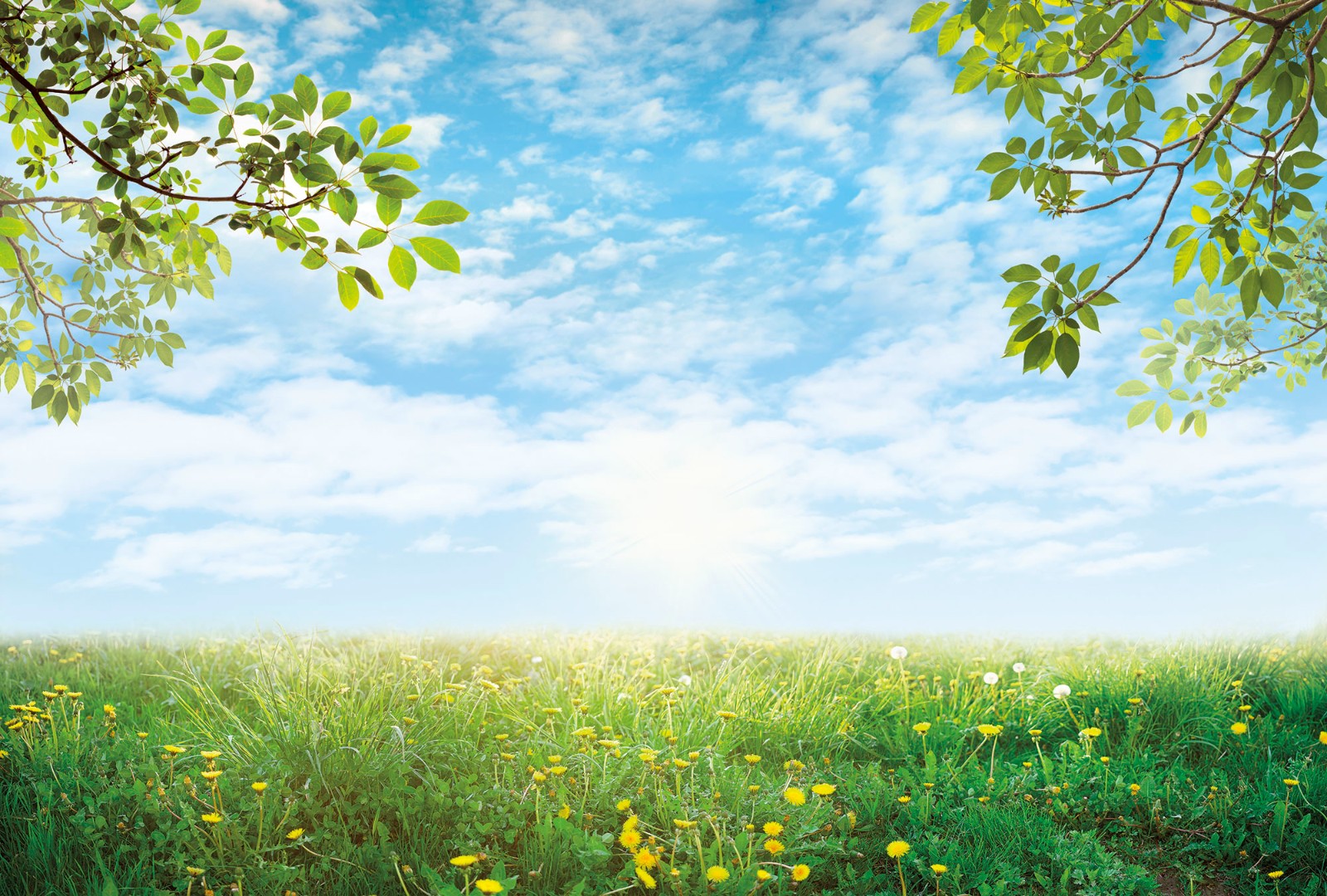 Фрески Ortograf арт 34265 фото 1