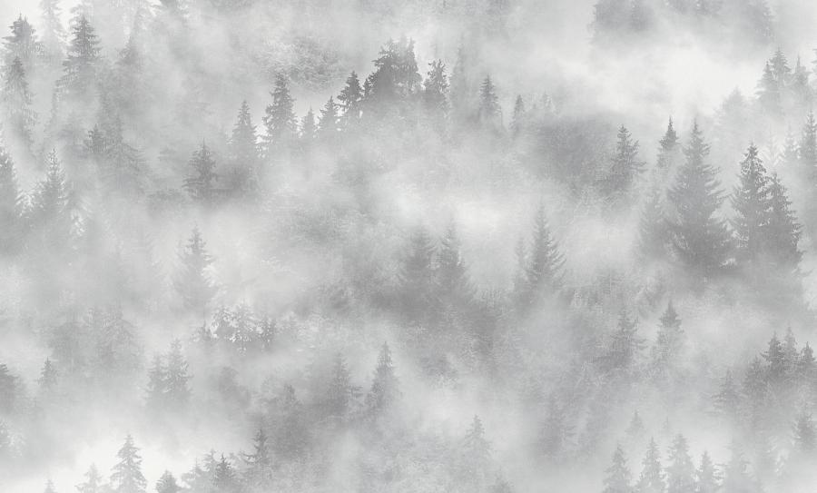 Обои Palitra Home арт HC71960-14 фото 1