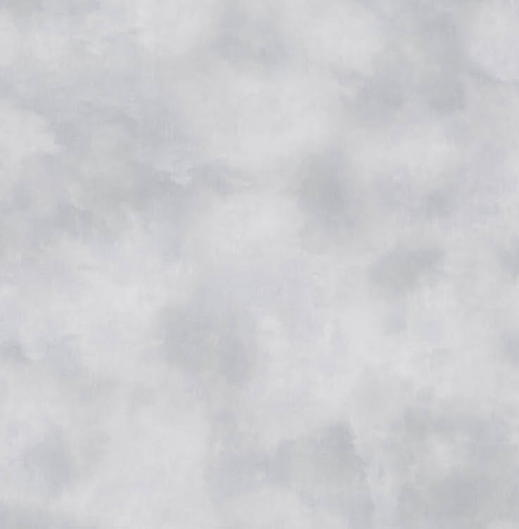 Обои Sirpi арт 1VH 20738 фото 1