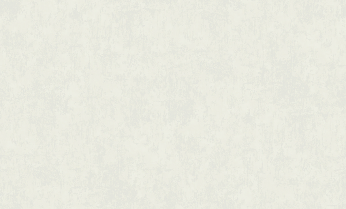 Обои Erismann арт 60624-04 фото 1