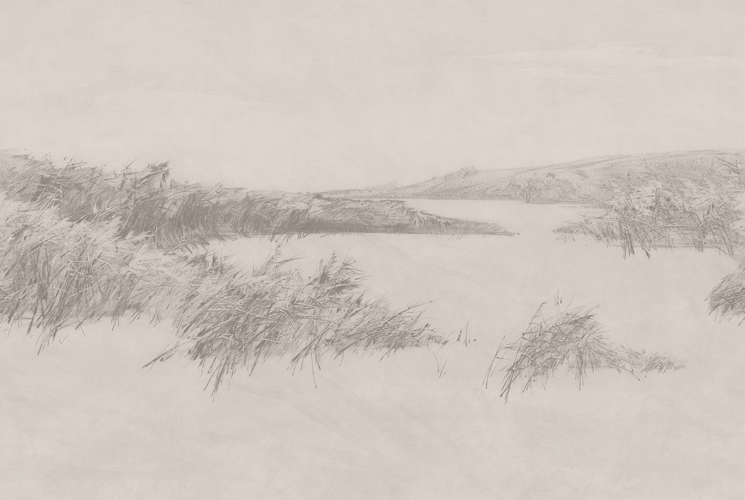 Фотообои Factura арт Reeds-3 фото 1