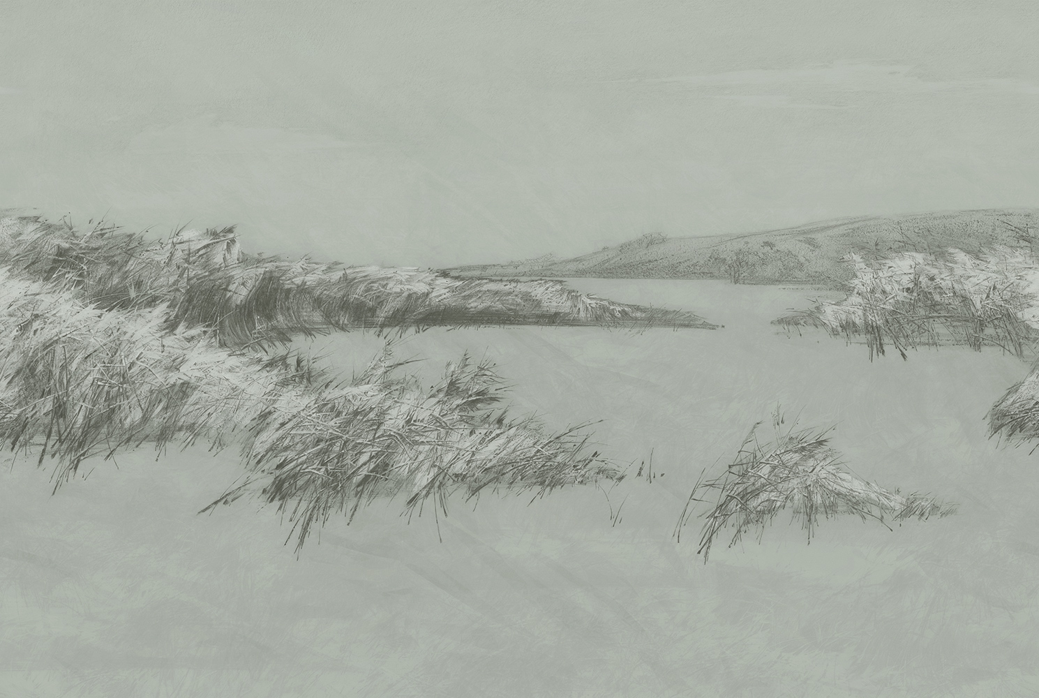 Фотообои Factura арт Reeds-4 фото 1