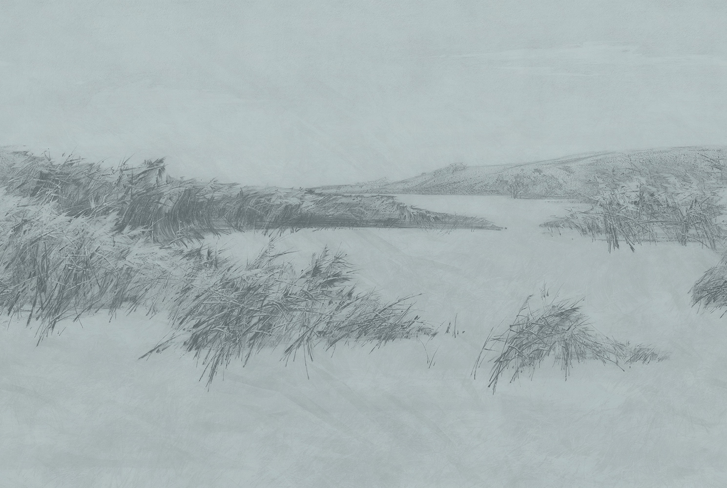 Фотообои Factura арт Reeds-5 фото 1