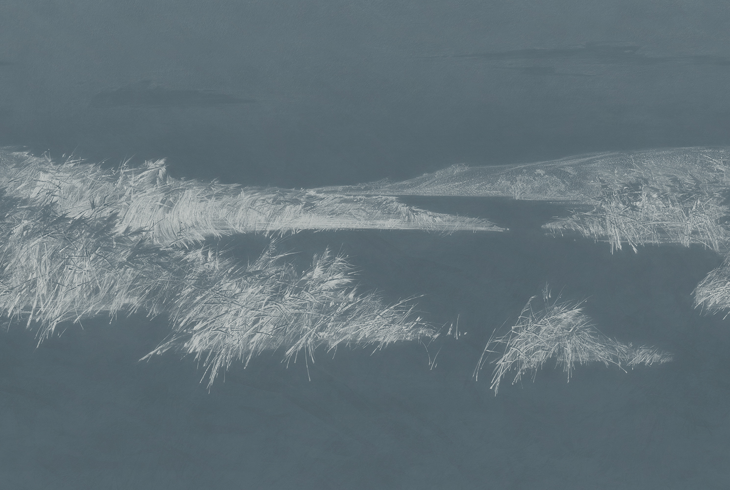 Фотообои Factura арт Reeds-6 фото 1