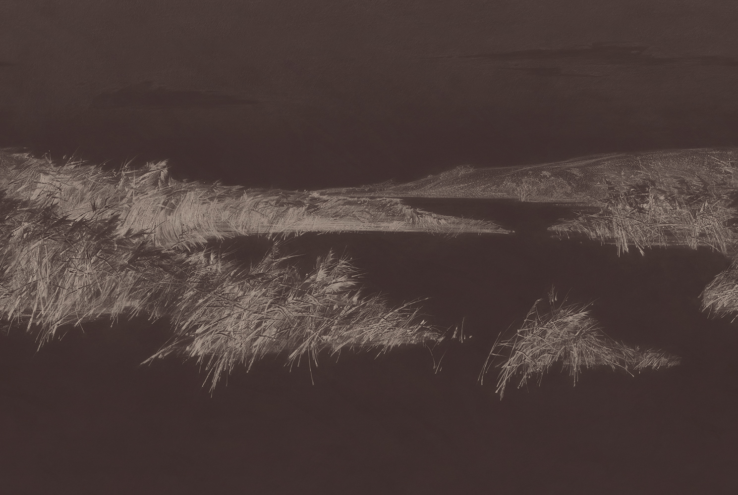 Фотообои Factura арт Reeds-7 фото 1