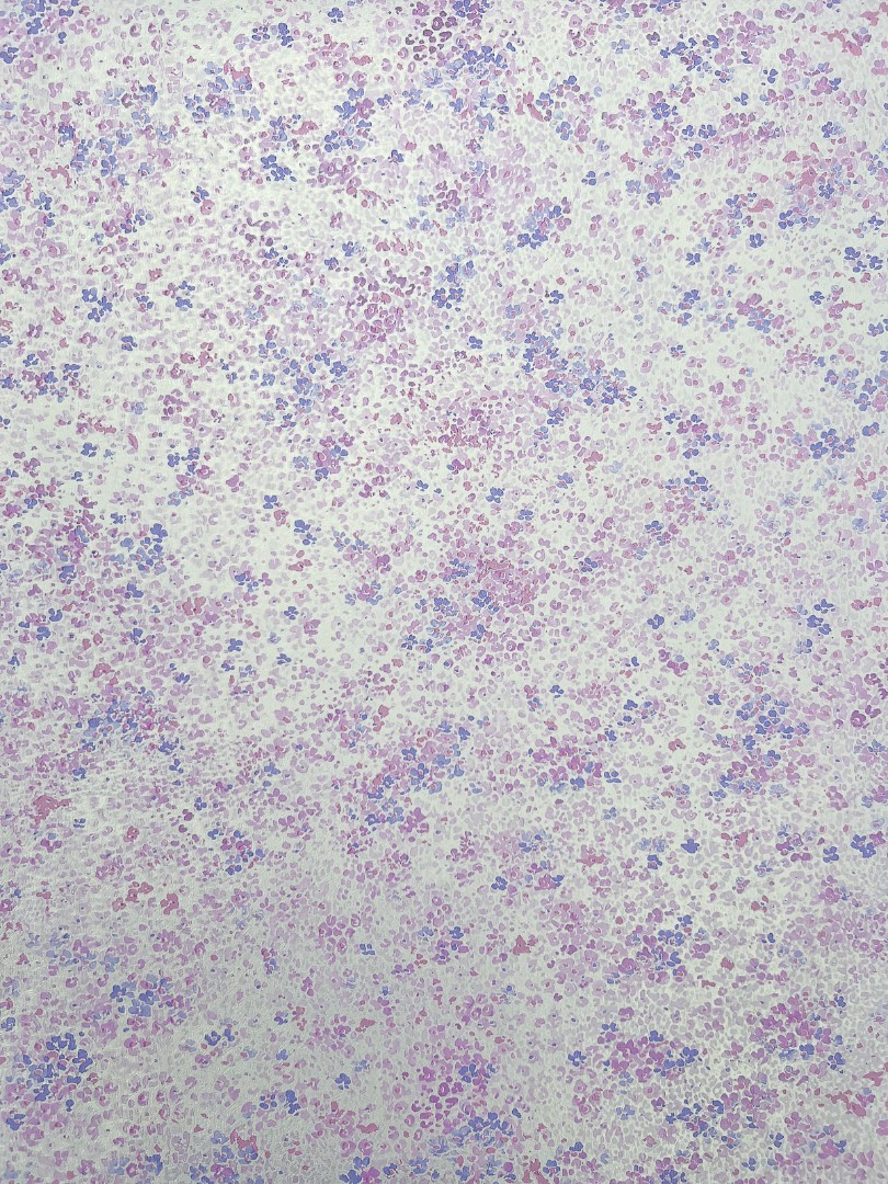 Обои МОФ арт 6202-8 фото 1