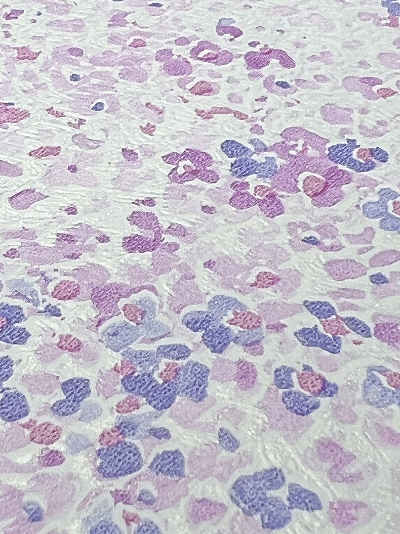 Обои МОФ арт 6202-8 фото 2