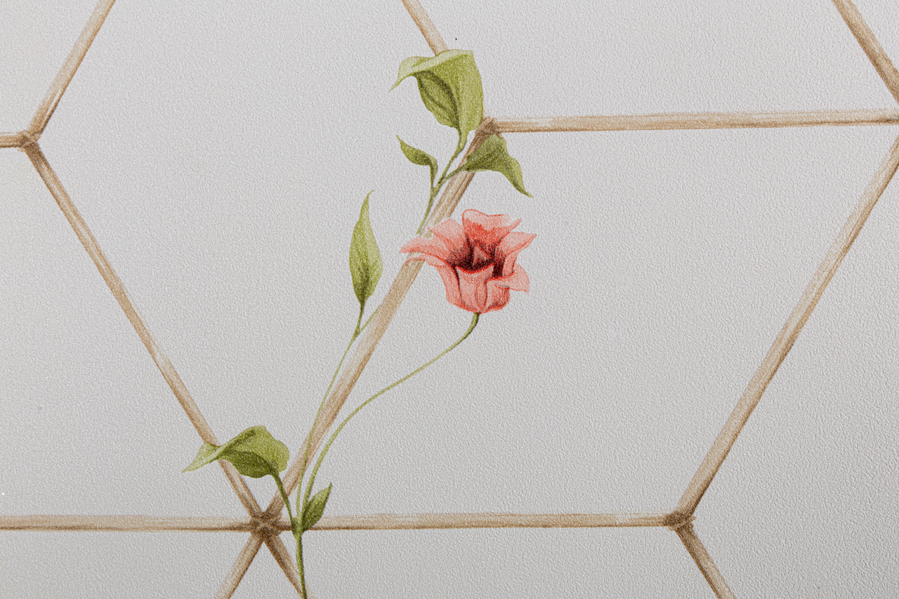 Обои Palitra Trend арт TC72063-21 фото 4