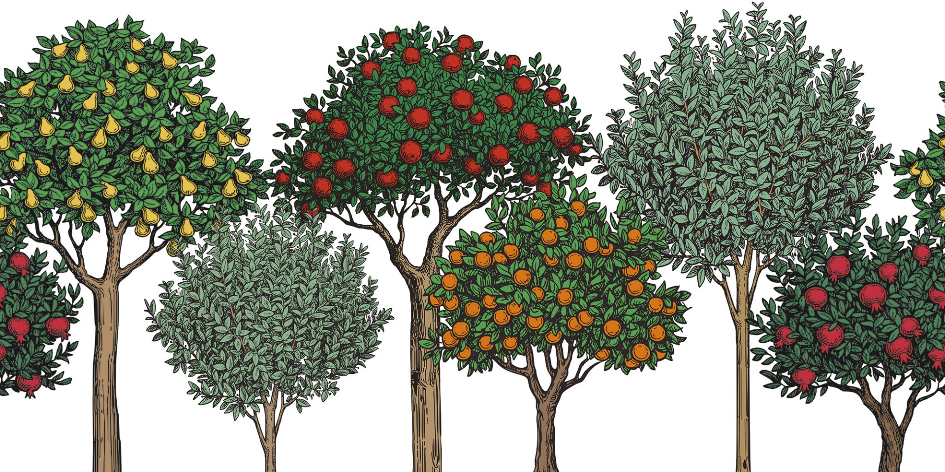 Фрески Ortograf арт 35066 фото 1