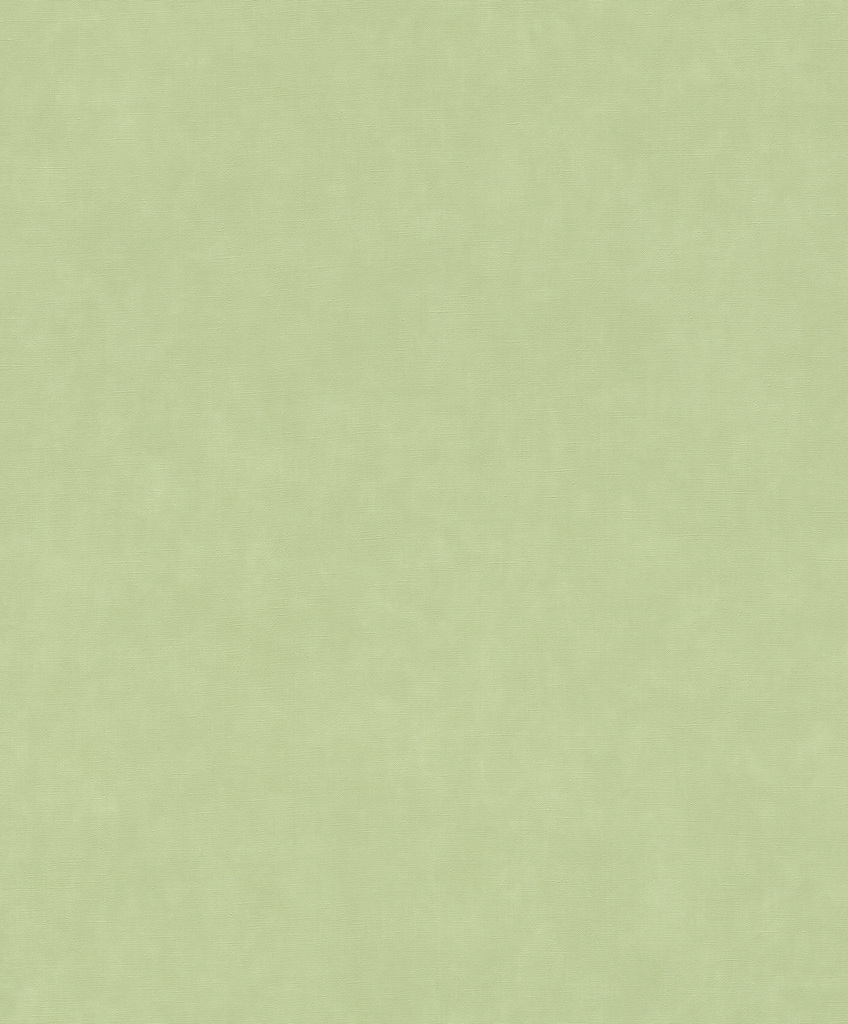 Обои Rasch арт 330052 фото 1