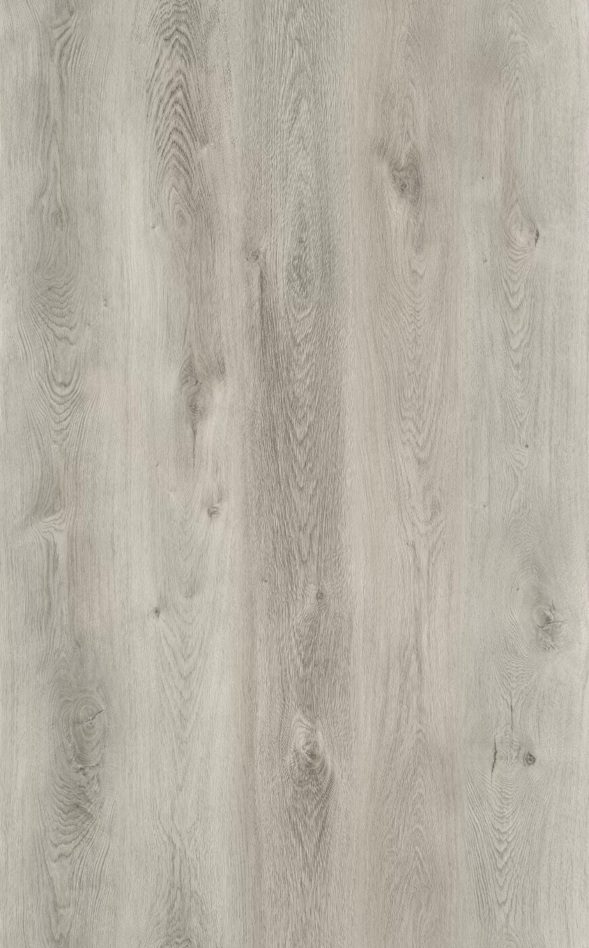 SPC Quick Step арт CSPC20297 фото 3