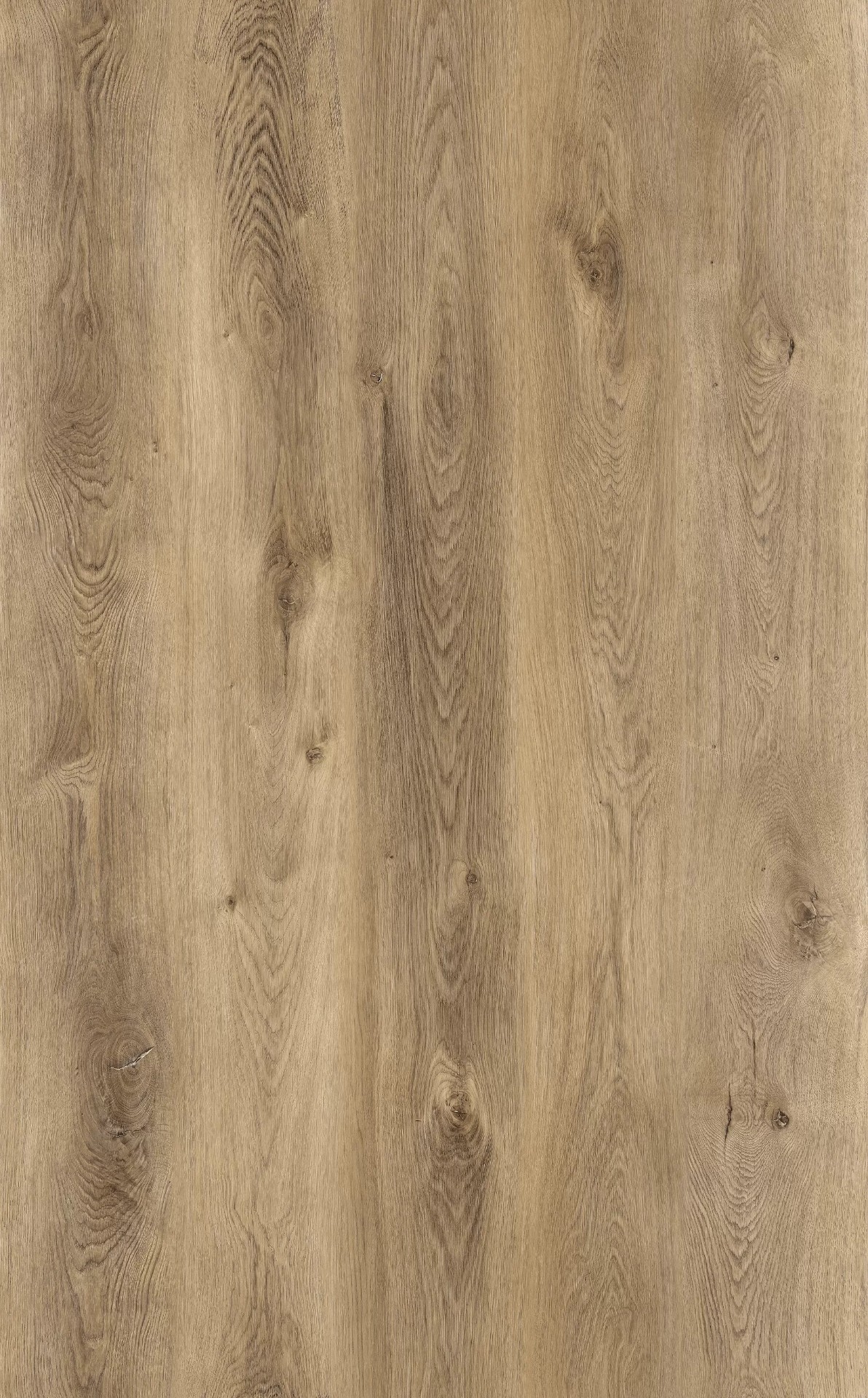 SPC Quick Step арт CSPC20299 фото 3