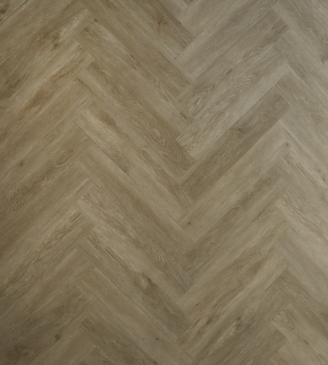 SPC Karelia арт Sea Romance Fregat HB фото 1