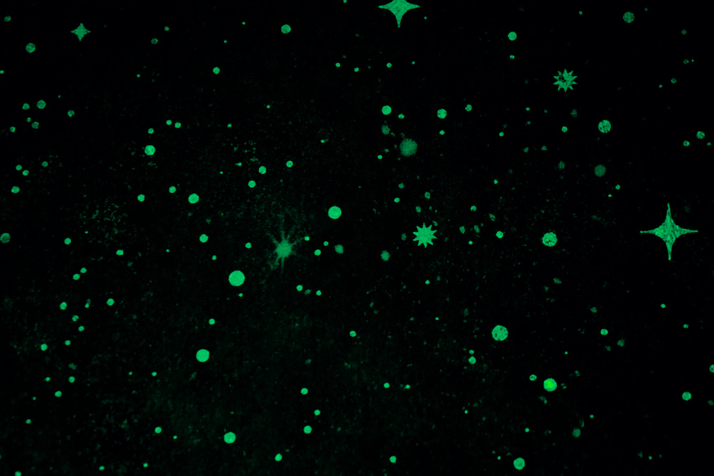 Обои Palitra Home арт HC72368-11 фото 4