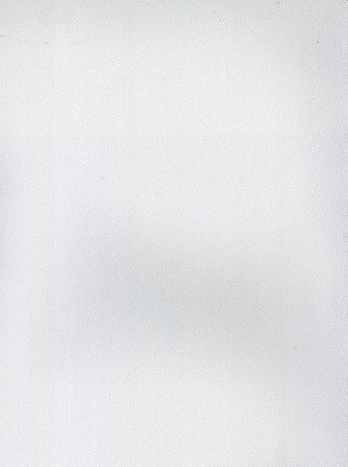 Обои Andrea Rossi арт 54191-2 фото 1