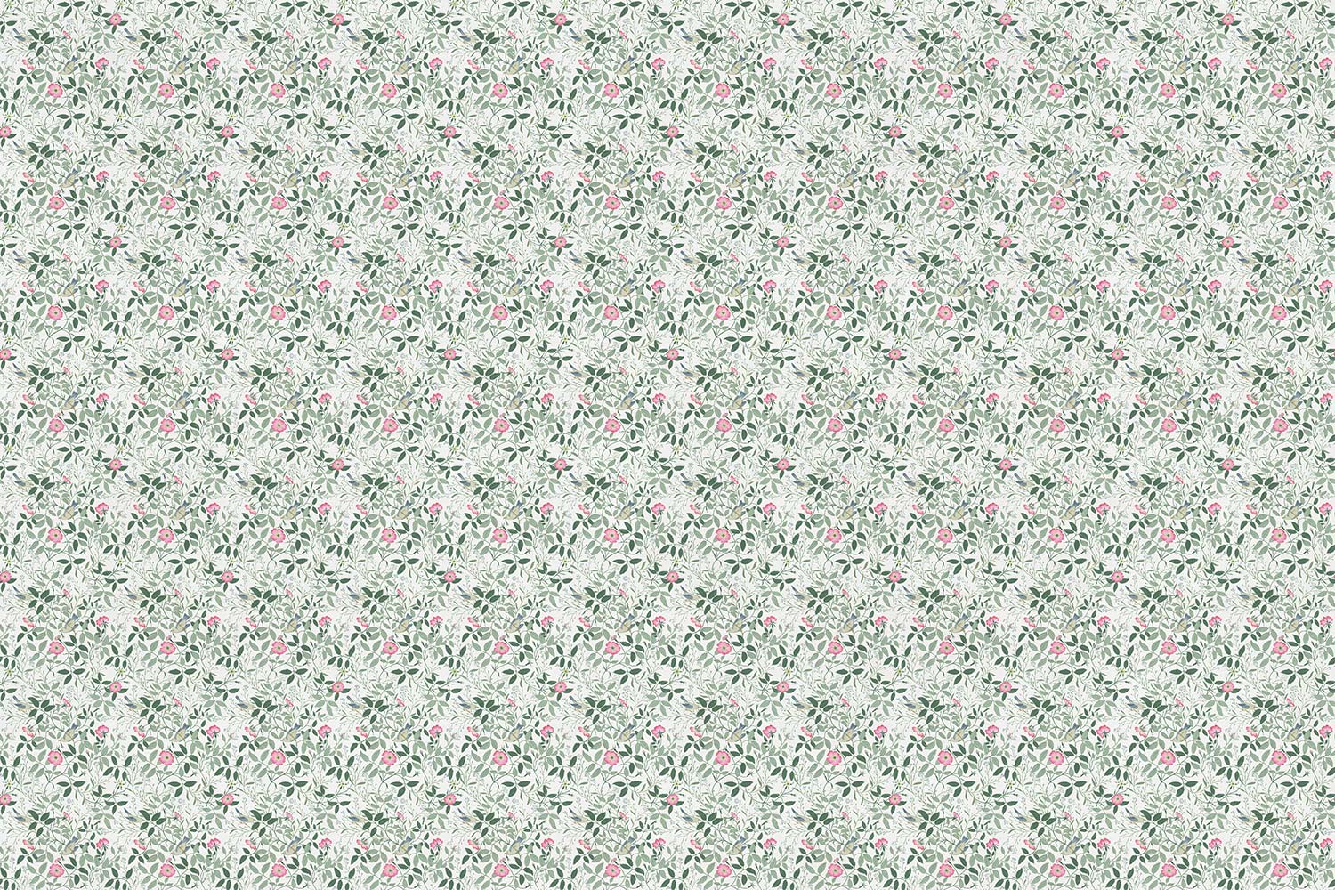 Фотообои Factura арт Erba Rosa 01 фото 1