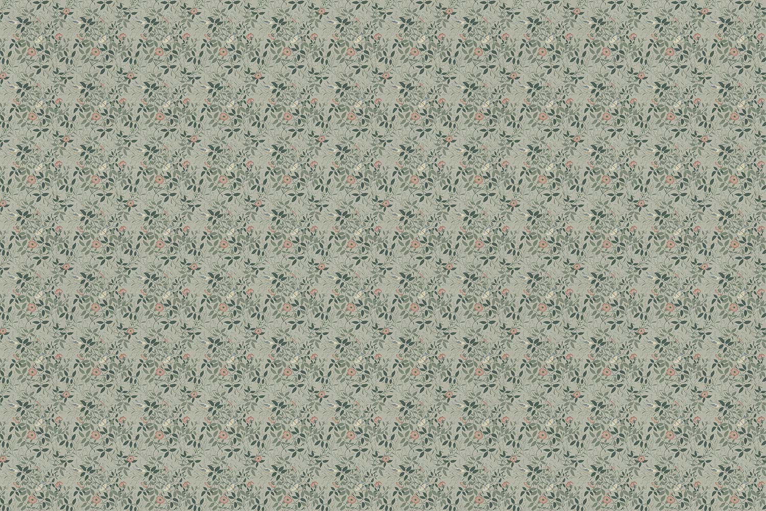 Фотообои Factura арт Erba Rosa 08 фото 1