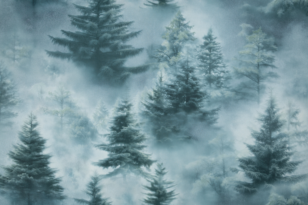 Обои Palitra Home арт HC72551-67 фото 3