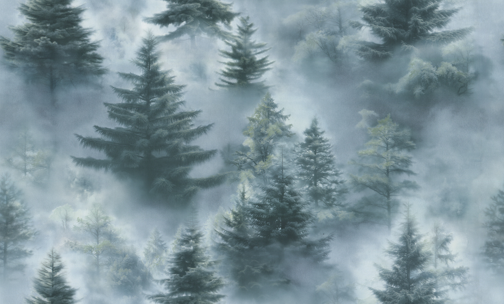 Обои Palitra Home арт HC72551-67 фото 1