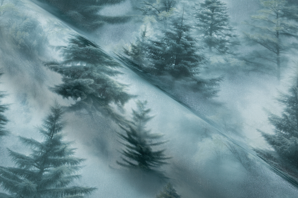 Обои Palitra Home арт HC72551-67 фото 4