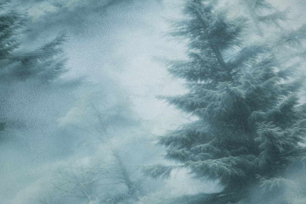 Обои Palitra Home арт HC72551-67 фото 6