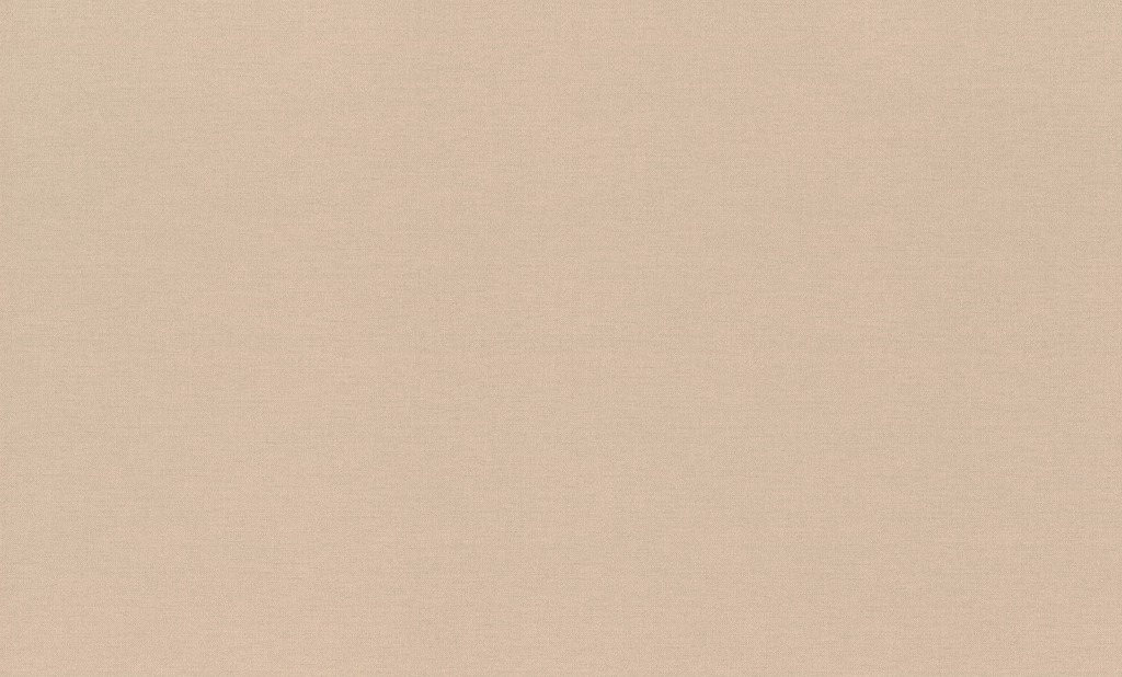 Обои Rasch арт 971439 фото 1