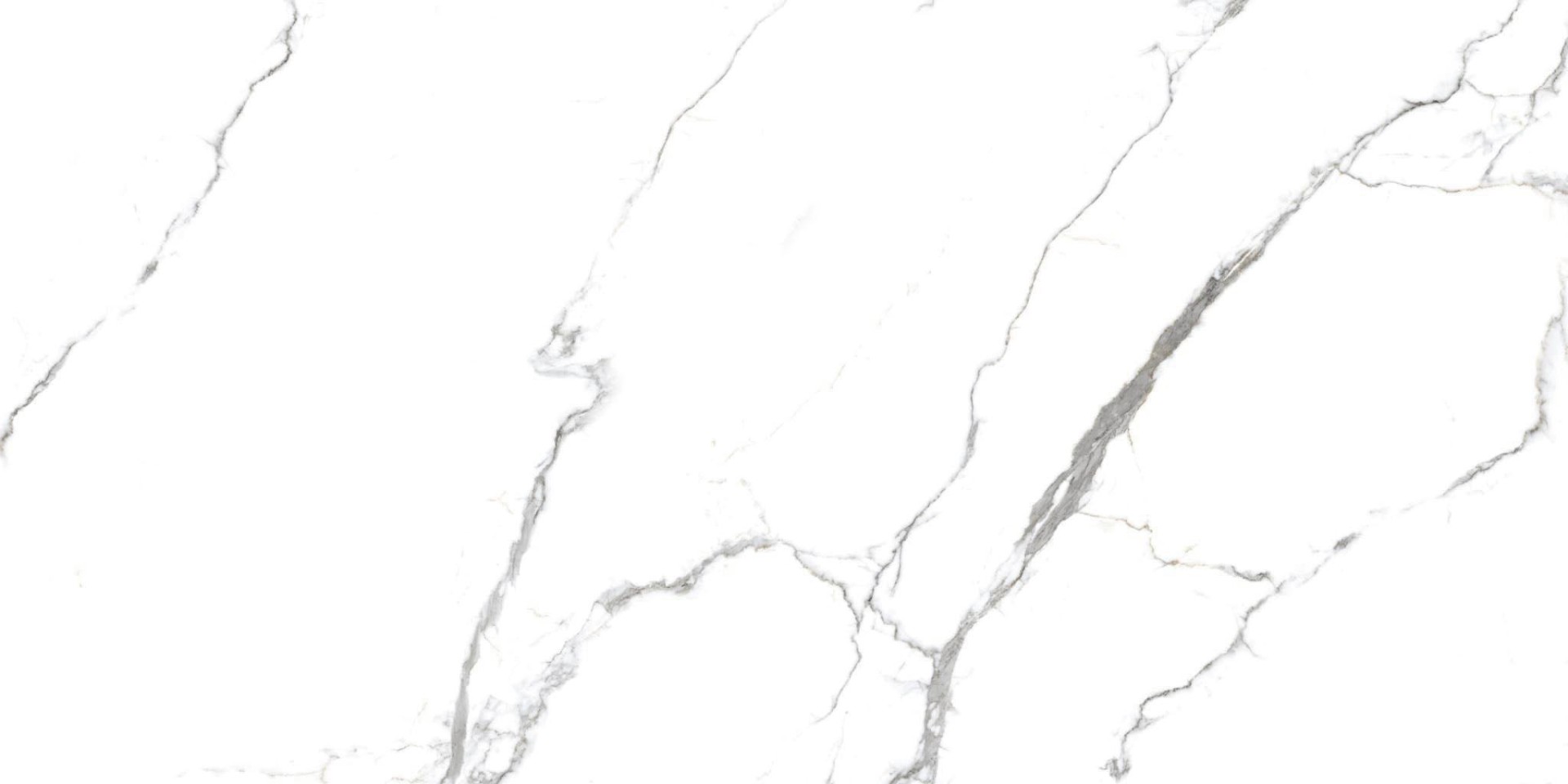 Керамогранит Primavera арт Acothly, polished, white, 1200х600 фото 1