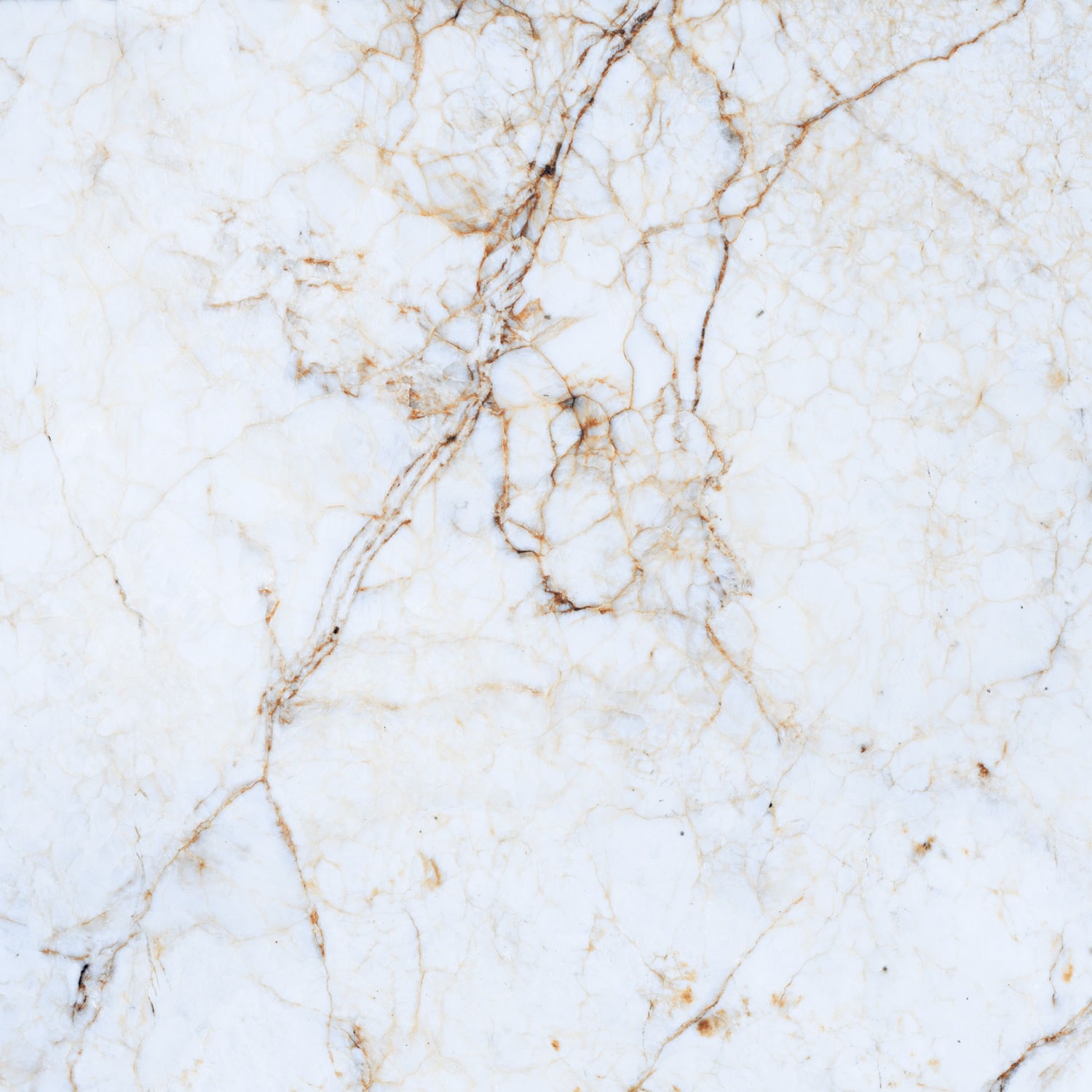 Керамогранит Primavera арт Namibian Marble, polished, white, 600x600 фото 1