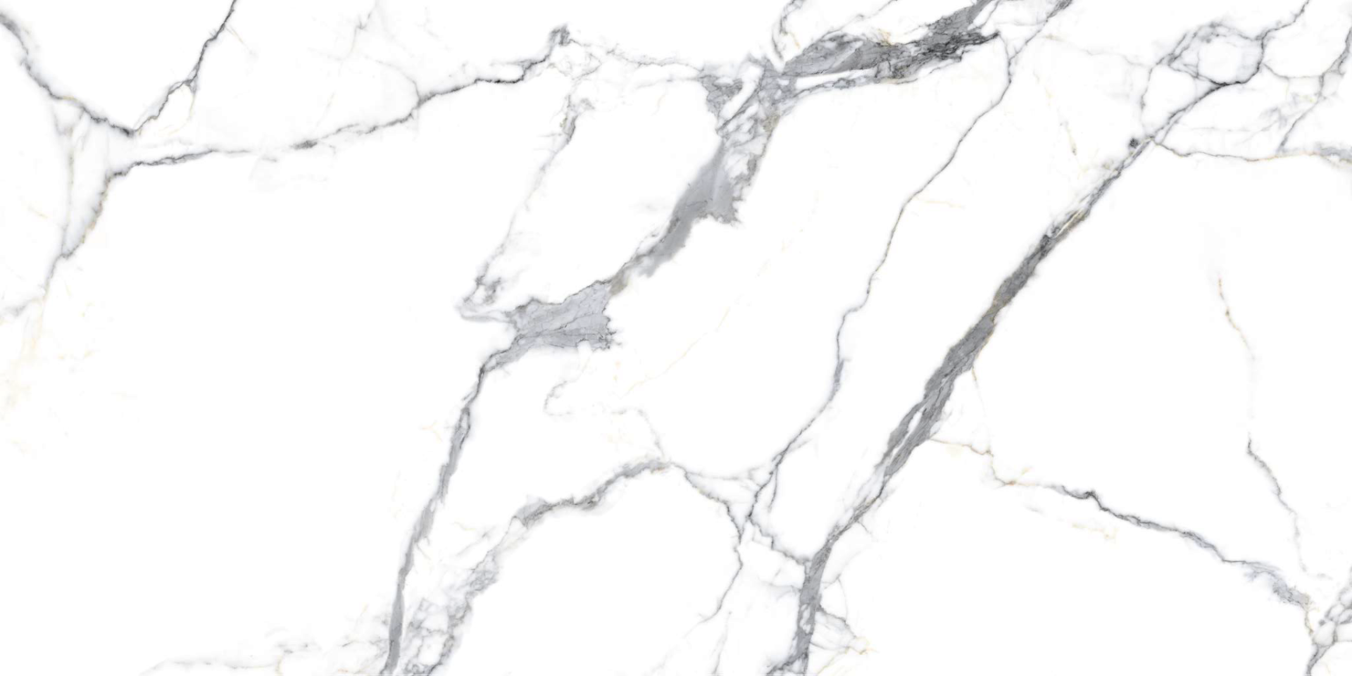 Керамогранит Primavera арт Siroco, polished, white, 1200x600 фото 1