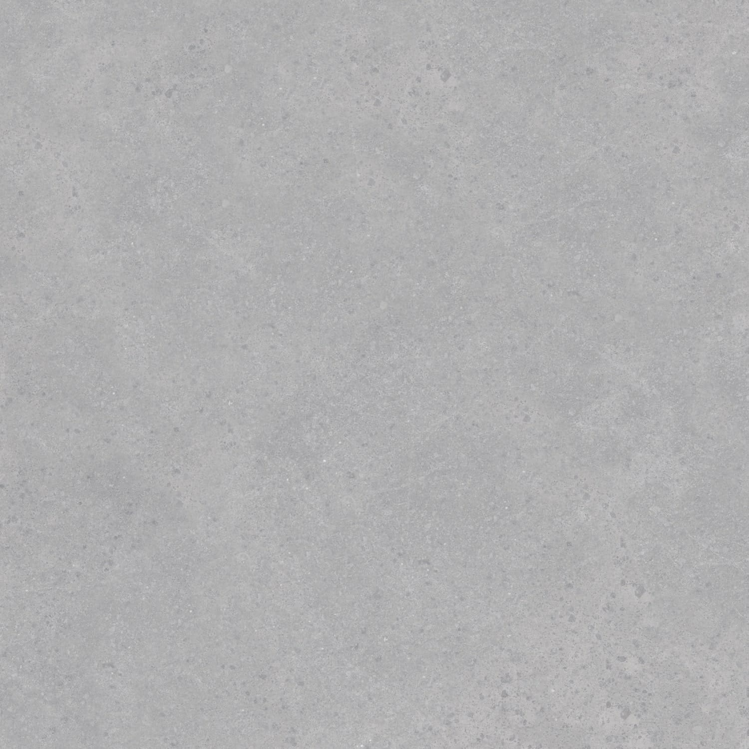 Керамогранит Primavera арт Ранера, matt, light grey, 600x600 фото 1