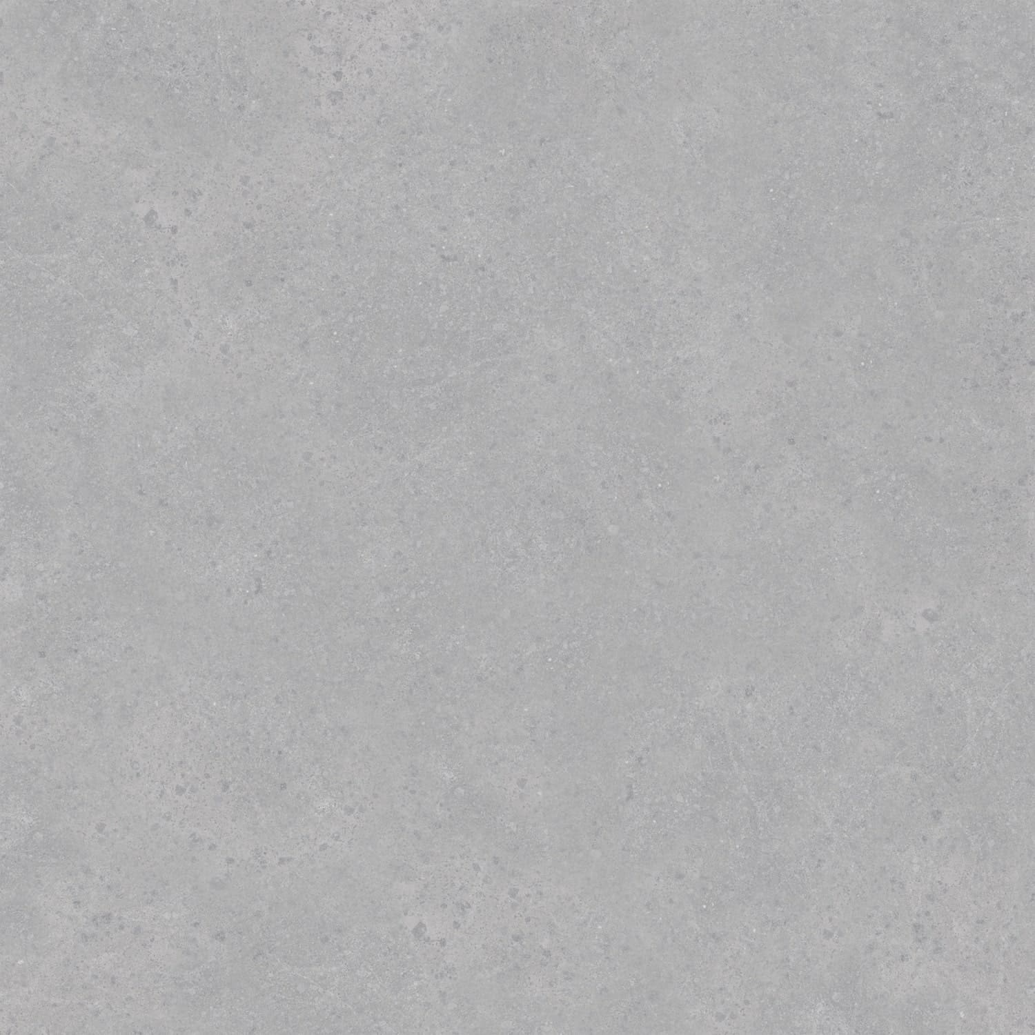 Керамогранит Primavera арт Ранера, matt, light grey, 600x600 фото 5