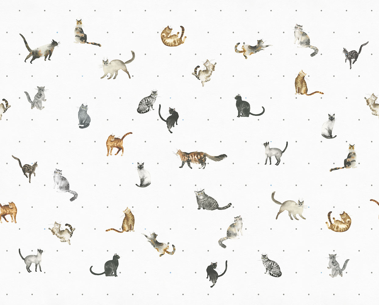 Фотообои Factura арт Kitty-1 фото 1