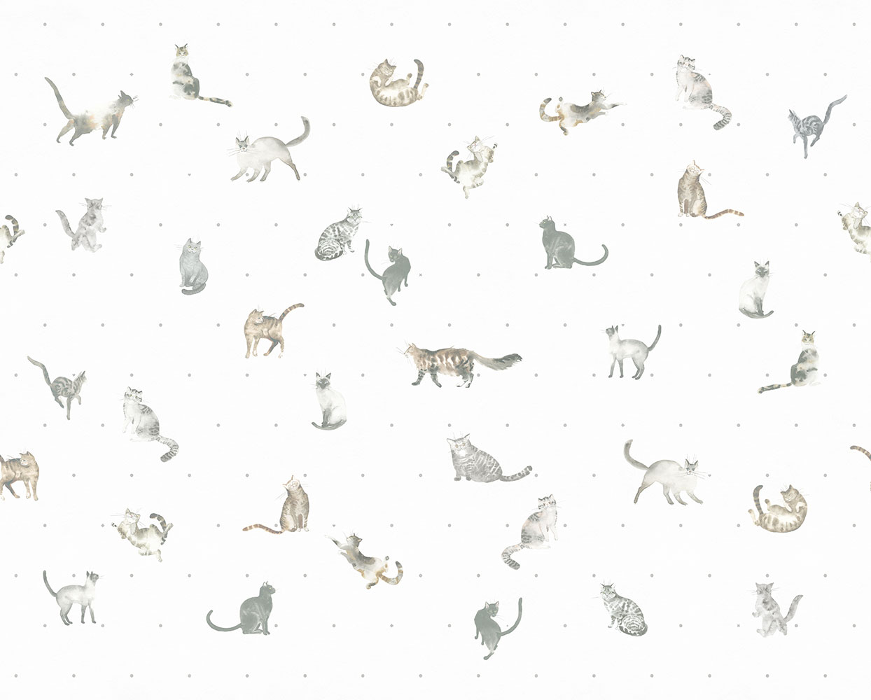 Фотообои Factura арт Kitty-2 фото 1
