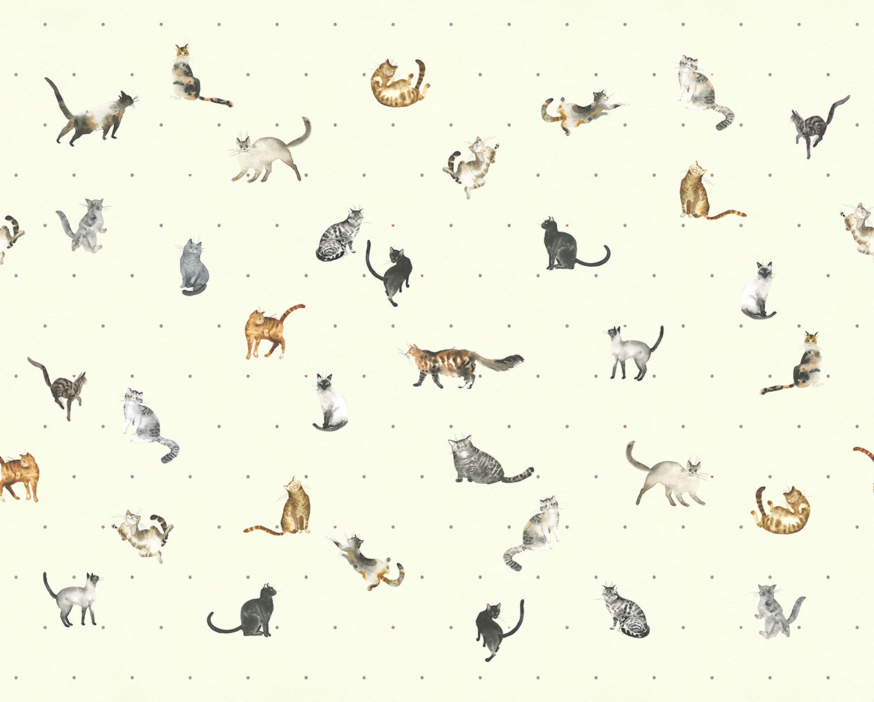 Фотообои Factura арт Kitty-4 фото 1