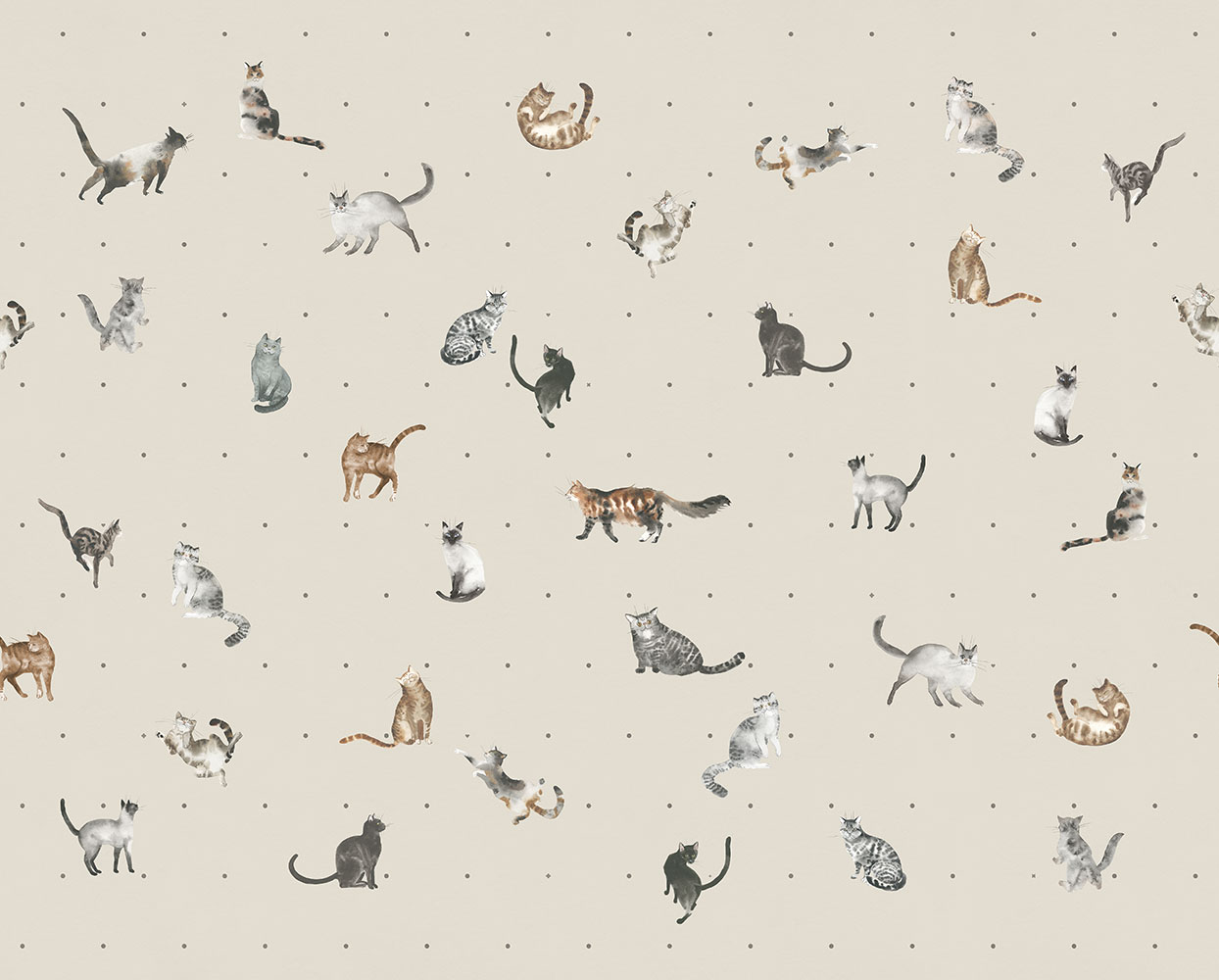 Фотообои Factura арт Kitty-5 фото 1